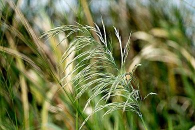 人生模拟游戏《inZOI》实机演示 韩国版《模拟人生》